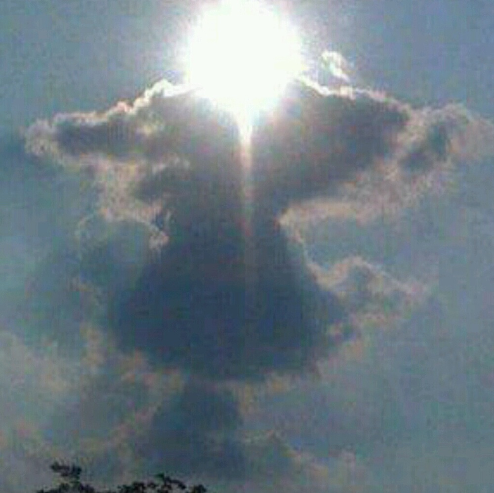 Meet your Posher, Astrid